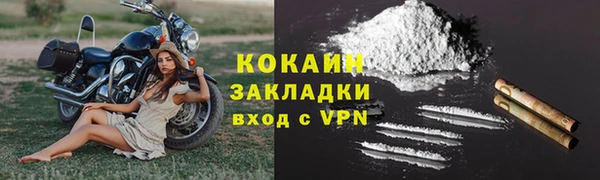 индика Вязьма