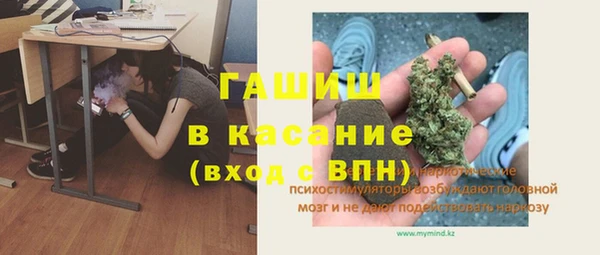 стаф Абаза
