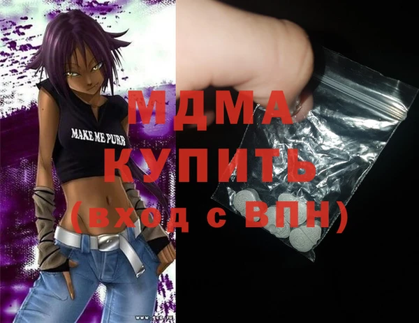 индика Вязьма